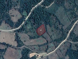 Sahibinden Çanakkale Bayramiç'te 2.000 m² Bağ